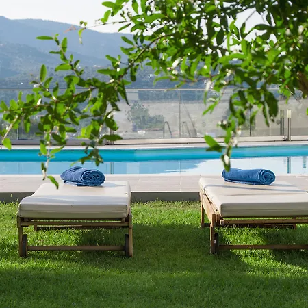 Hotel Hotel Punta