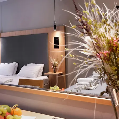 Ξενοδοχείο Hotel Punta